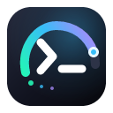 Codex Local Meter